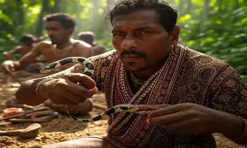 Irula Tribe: వీరికి  పాములు  ఆట బొమ్మలతో సమానం.. పిల్లలు కూడా విషాన్ని తీయగలరు..!