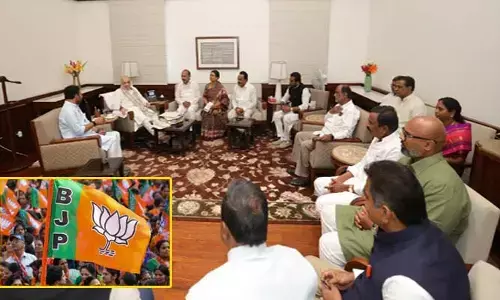 Amit Shah: స్థానిక ఎన్నికలపై  బీజేపీ ఫోకస్.. రాష్ట్ర నేతలకు అమిత్ షా కీలక దిశానిర్దేశం