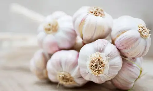 Garlic : రోజుకు 2 పచ్చివెల్లుల్లి రెబ్బలు తింటే .. ఆ సమస్యలకు చెక్ పెట్టొచ్చు..!