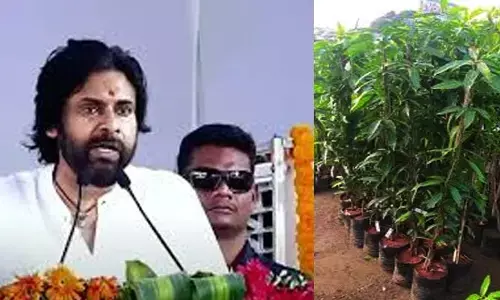 AP Deputy CM: ‘కుంటల చుట్టూ ఆ మొక్కలు పెంచండి’.. పవన్ కళ్యాణ్ కీలక వ్యాఖ్యలు