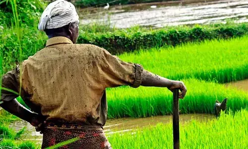 Ap: 24 గంటల్లో రైతుల ఖాతాల్లో నగదు జమ