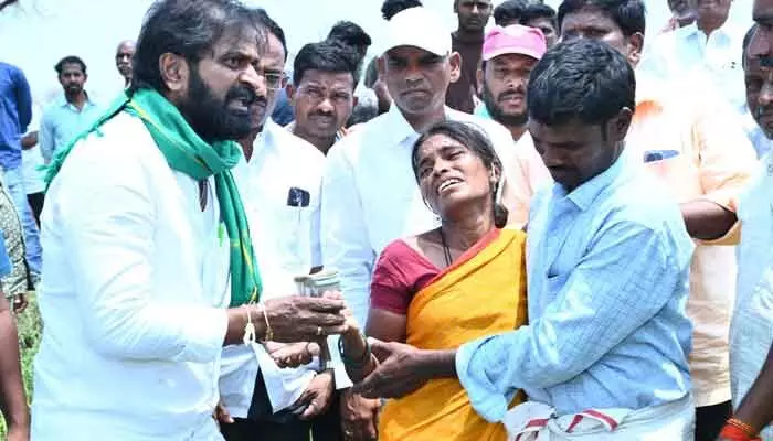 పంట నష్టపోయిన రైతులను ఆదుకోవాలి పంట నష్టపోయిన రైతులను ఆదుకోవాలి