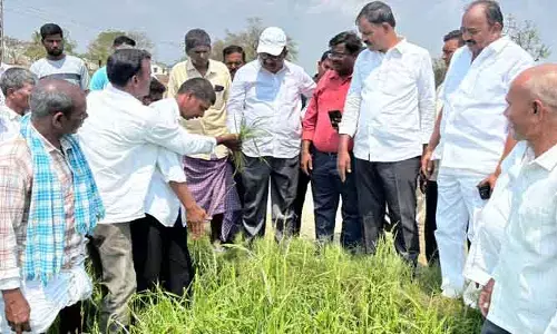 అధైర్యపడొద్దు.. అండగా ఉంటాం