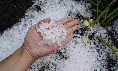 రాయలసీమలో వడగళ్ల వాన.. అధికారులకు  కీలక ఆదేశాలు