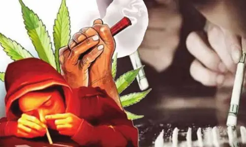 రూ.20 కోట్ల విలువైన గంజాయి పట్టివేత.. ఎక్కడంటే?