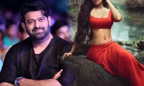 ప్రభాస్‌తో స్క్రీన్ షేర్ చేసుకోవడం లైఫ్‌లోనే ఓ మైలు రాయి.. యంగ్ బ్యూటీ ఇంట్రెస్టింగ్ కామెంట్స్