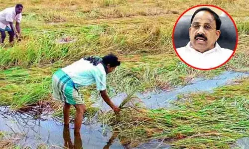 Tummala: 13 జిల్లాల్లో భారీగా పంట నష్టం.. పరిహారంపై మంత్రి తుమ్మల కీలక ప్రకటన