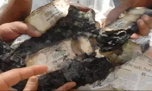 Half Burnt Currency: మీ కరెన్సీ నోటు మంటల్లో కాలిందా? ఈ నోటును ఎక్స్చేంజ్ చేసుకొవచ్చా? RBI నిబంధనలు ఏం చెబుతున్నాయి?