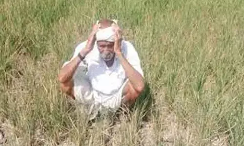 ఎండిన పంటలకు నష్టపరిహారం వచ్చేనా..?