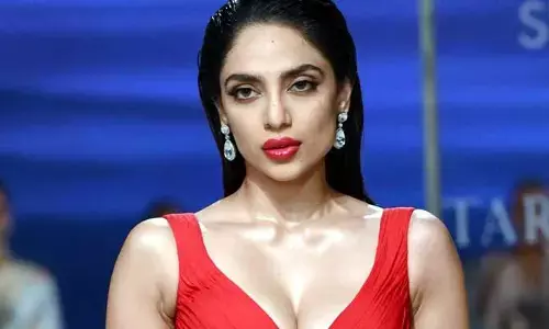 Sobhita Dhulipala: అక్కినేని కోడలకి ఘోర అవమానం.. మా బ్రాండ్‌కు నువ్వు సెట్ కావంటూ శోభితను తీసేసి కుక్కతో షూట్