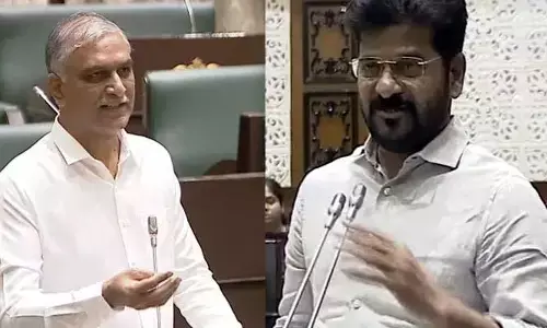 Telangana Assembly : అసెంబ్లీలో బీఆర్ఎస్, ఎంఐఎం ఆందోళన
