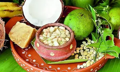 Ap:  తెలుగువారి పండగకు పకడ్బందీ ఏర్పాట్లు..  భారీగా నిధుల విడుదల