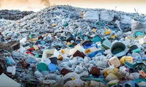 ఈ కాలుష్యంలో మన వాటా ఎంత?