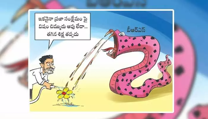Disha Cartoon: ప్రజలపై విషం చిమ్ముతున్న గులాబీ పాము Disha Cartoon: ప్రజలపై విషం చిమ్ముతున్న గులాబీ పాము