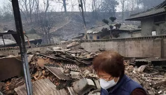 Wildfire: దక్షిణ కొరియాలో కార్చిచ్చు.. 27 మంది మృతి Wildfire: దక్షిణ కొరియాలో కార్చిచ్చు.. 27 మంది మృతి