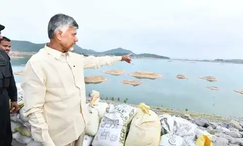 ఆ నాటికే పోలవరం ప్రాజెక్టు పూర్తి..  సీఎం చంద్రబాబు కీలక వ్యాఖ్యలు