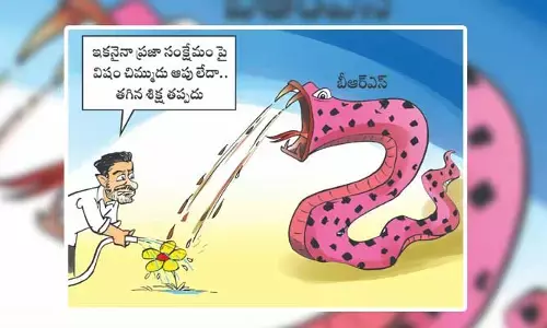 Disha Cartoon: ప్రజలపై విషం చిమ్ముతున్న గులాబీ పాము