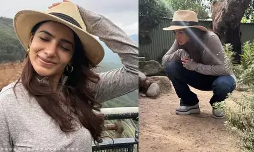 నేచర్, యానిమల్, గుడ్ వైబ్స్ అంటూ క్యూట్ ఫొటోస్ షేర్ చేసిన సమంత.. పోస్ట్ వైరల్
