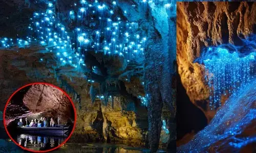 Glowworm Caves : మెరిసే నక్షత్రాలతో అలరిస్తున్న మాయా గుహలు..! అక్కడ ఏమున్నదంటే..