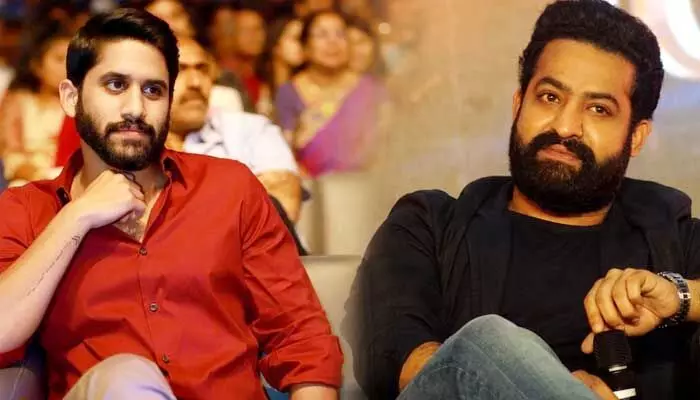 NTR: జపాన్లో నాగచైతన్యపై ఎన్టీఆర్ కామెంట్స్.. నెట్టింట వైరలవుతోన్న వీడియో! NTR: జపాన్లో నాగచైతన్యపై ఎన్టీఆర్ కామెంట్స్.. నెట్టింట వైరలవుతోన్న వీడియో!