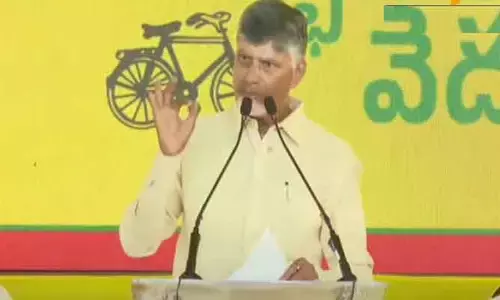 CM Chandrababu: పార్టీకి మేము వారసులమే.. కానీ పెత్తందార్లం కాదు: సీఎం చంద్రబాబు హాట్ కామెంట్స్