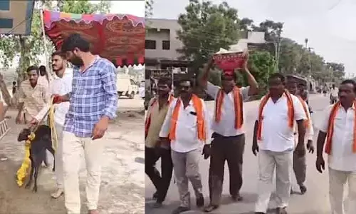 Trending: ఆ గ్రామంలో వినూత్నంగా ఉగాది వేడుకలు.. వందల్లో కోళ్లు, మేకలు తెగాల్సిందే