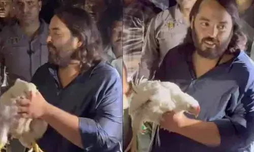 Ananth Ambani Viral video: ‘వాటి మీద మరీ ఇంత ప్రేమేంటన్నా నీకు’.. నెట్టింట అనంత్ అంబానీపై ప్రశంసల జల్లు
