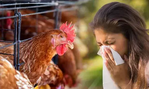 Bird flu: మనుషులకు సోకుతున్న బర్డ్ ఫ్లూ.. లక్షణాలు, తీసుకోవాల్సిన జాగ్రత్తలివే