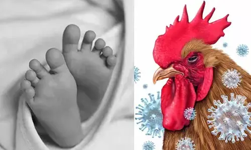 Bird Flu ఏపీ ప్రజలకు బిగ్ అలర్ట్.. బర్డ్ ఫ్లూతో రెండేళ్ల చిన్నారి మృతి