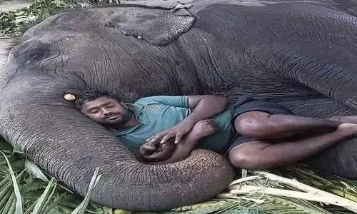 Viral Photo: వావ్.. అద్భతమైన ఫొటో.. అదృష్టం అంటే ఇతడిదే!