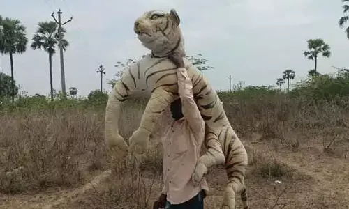ఓ యువ రైతు వినూత్న ఆలోచన.. ఇంతకీ ఏ చేశాడో తెలుసా..?