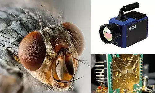Technology : కీటకాల కళ్లే ప్రేరణ.. ఒక్క సెకనులో 9,120 ఫొటోలు తీయొచ్చు!