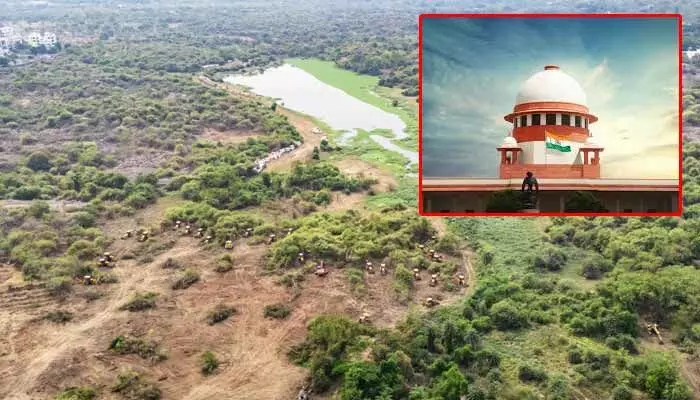 Gachibowli Lands: కంచ గచ్చిబౌలి భూముల వ్యవహారంలో ప్రభుత్వంపై సుప్రీంకోర్టు సీరియస్ Gachibowli Lands: కంచ గచ్చిబౌలి భూముల వ్యవహారంలో ప్రభుత్వంపై సుప్రీంకోర్టు సీరియస్