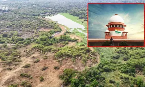 Gachibowli Lands: కంచ గచ్చిబౌలి భూముల వ్యవహారంలో ప్రభుత్వంపై సుప్రీంకోర్టు సీరియస్