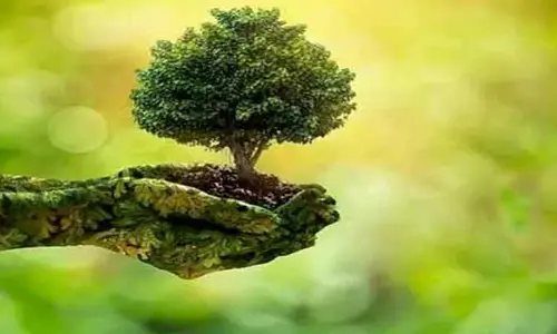 మీరు ఉనికి కోల్పోకుండా ఉండాలా? ఇలా చేయండి!