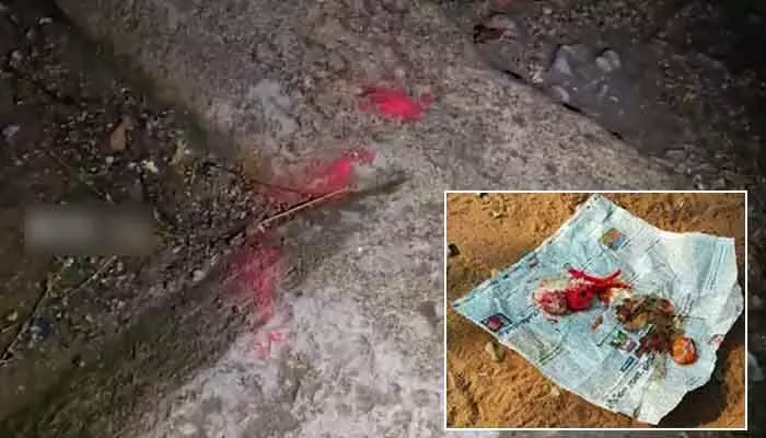 Occult worship: సర్కార్ బడిలో క్షుద్ర పూజల కలకలం.. అర్ధరాత్రి ఏకంగా ఓ మేకను.. Occult worship: సర్కార్ బడిలో క్షుద్ర పూజల కలకలం.. అర్ధరాత్రి ఏకంగా ఓ మేకను..