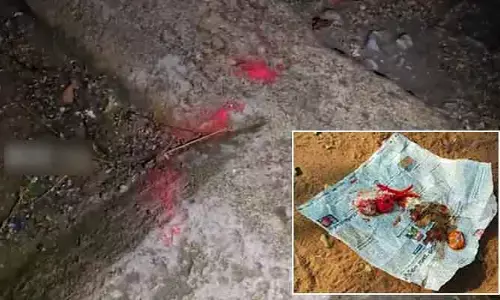 Occult worship: సర్కార్ బడిలో క్షుద్ర పూజల కలకలం.. అర్ధరాత్రి ఏకంగా ఓ మేకను..