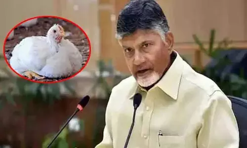 ICMR బృందంతో భేటీ.. బర్డ్ ప్లూపై సీఎం చంద్రబాబు కీలక ప్రకటన