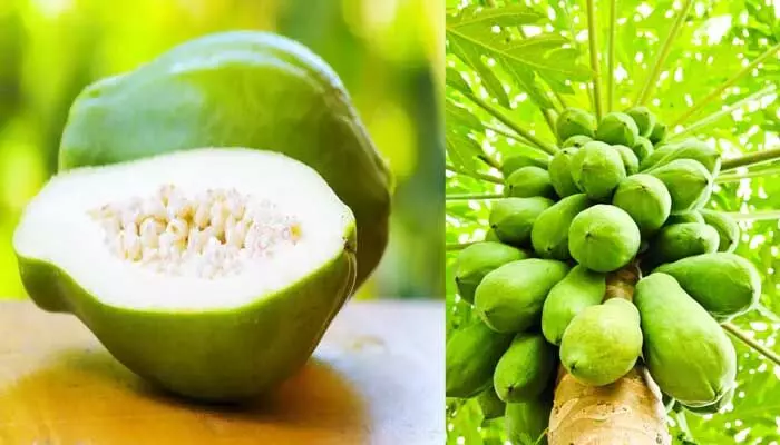 raw papaya: వారానికి 3 సార్లు పచ్చి బొప్పాయి తినడం వల్ల కలిగే 9 ప్రయోజనాలు raw papaya: వారానికి 3 సార్లు పచ్చి బొప్పాయి తినడం వల్ల కలిగే 9 ప్రయోజనాలు