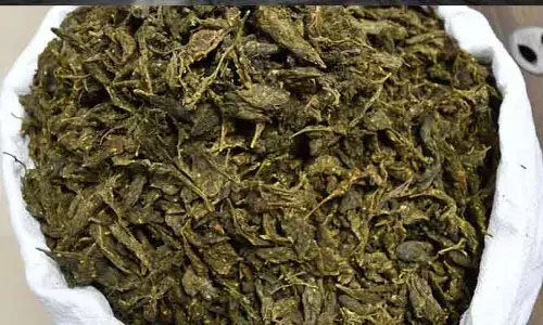 Ganja Seize: శామీర్‌పేట్‌లో ఎస్‌వోటీ పోలీసుల తనిఖీలు.. భారీగా గంజాయి సీజ్