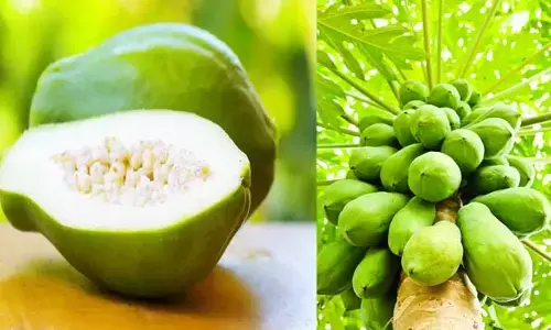 raw papaya: వారానికి 3 సార్లు పచ్చి బొప్పాయి తినడం వల్ల కలిగే 9 ప్రయోజనాలు