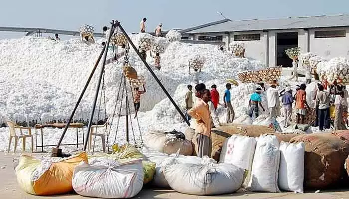 cotton:పత్తి కొనుగోళ్లలో దేశంలోనే తెలంగాణ నెం.1 cotton:పత్తి కొనుగోళ్లలో దేశంలోనే తెలంగాణ నెం.1