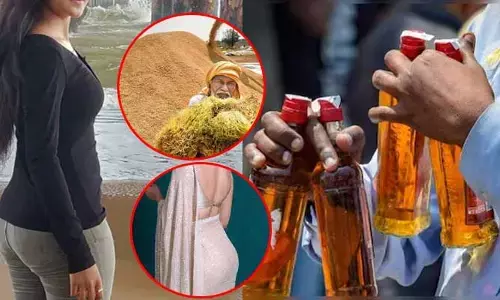 అదేంటి పుసుక్కున అంత మాట అనేసింది.. హీరోయిన్ మాటలకు నోరెళ్లబెట్టిన ఫ్యాన్స్