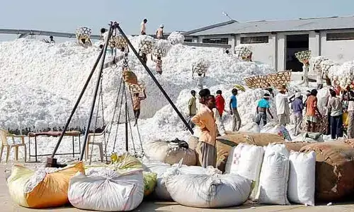cotton:పత్తి కొనుగోళ్లలో దేశంలోనే తెలంగాణ నెం.1