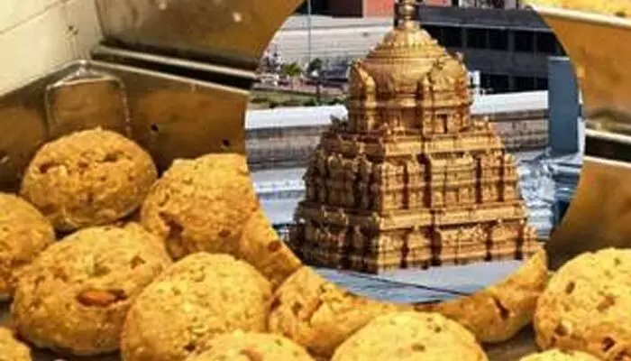 TTD:ఎల్లుండి ఆ ఆలయంలో సీతారాముల కళ్యాణం.. భక్తులకు తిరుమల లడ్డూల పంపిణీ TTD:ఎల్లుండి ఆ ఆలయంలో సీతారాముల కళ్యాణం.. భక్తులకు తిరుమల లడ్డూల పంపిణీ