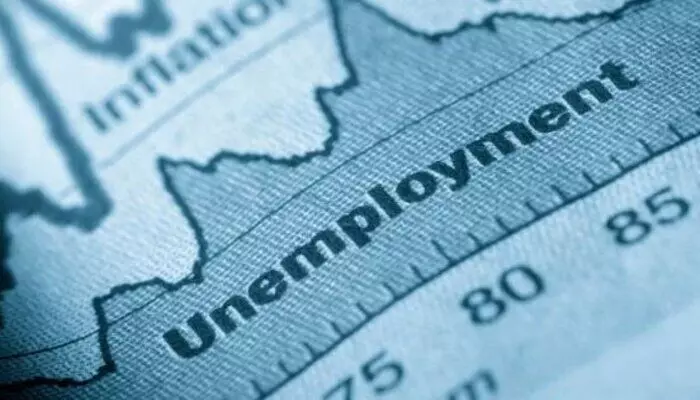 Unemployment: 2024లో స్వల్పంగా 4.9 శాతానికి తగ్గిన నిరుద్యోగం రేటు Unemployment: 2024లో స్వల్పంగా 4.9 శాతానికి తగ్గిన నిరుద్యోగం రేటు
