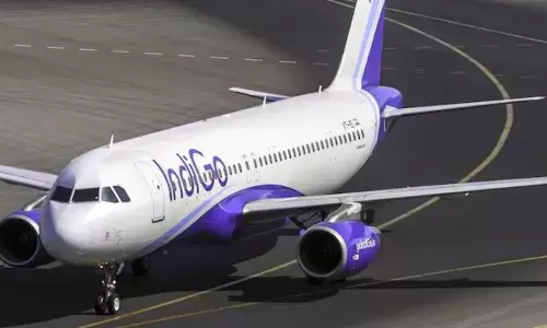 Indigo: ప్రపంచంలోనే అత్యంత విలువైన విమానయాన సంస్థగా ఇండిగో