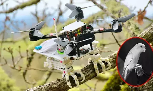 Bird-inspired robotic : పక్షిలా ఎగిరే రోబోట్ కూడా వచ్చేసిందోచ్..!