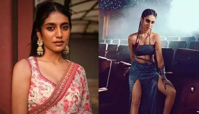ఆ స్టార్ హీరో సెట్లో అలా చేశారు.. అసలు విషయం బయటపెడుతూ ప్రియా వారియర్ ఎమోషనల్ పోస్ట్ ఆ స్టార్ హీరో సెట్లో అలా చేశారు.. అసలు విషయం బయటపెడుతూ ప్రియా వారియర్ ఎమోషనల్ పోస్ట్