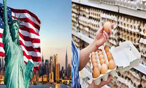 America: అమెరికాలో ఆకాశన్నంటుతోన్న కోడి గుడ్ల ధరలు